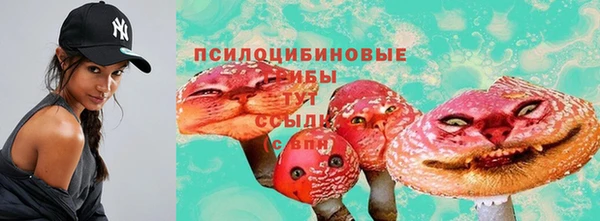 прущий лед Протвино