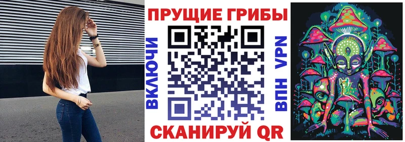 купить  цена  Весьегонск  Галлюциногенные грибы Magic Shrooms 
