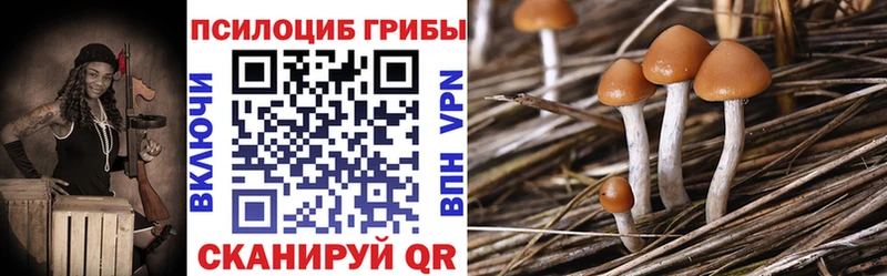 Галлюциногенные грибы Psilocybine cubensis Весьегонск